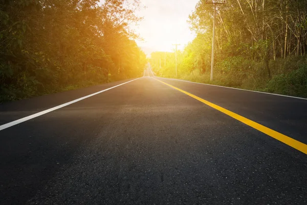 ağaçlar arasındaki yol