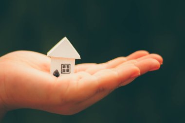 el holhand tutun ev modeld ev modeli