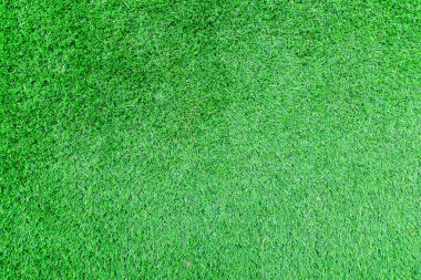 Yeşil Çimen Arkaplanı