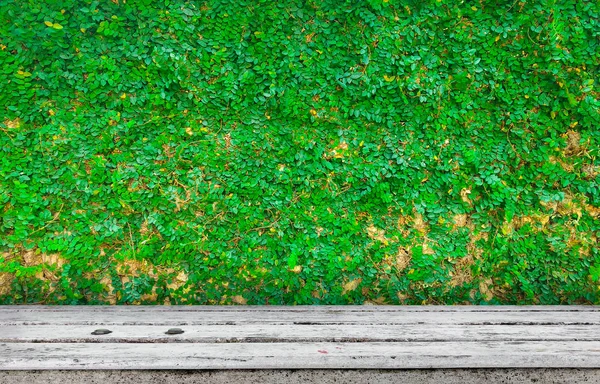 Mesa com plano de fundo planta — Fotografia de Stock