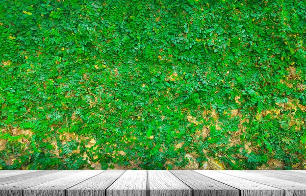 Tabletop dengan latar belakang tanaman — Stok Foto