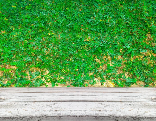 Mesa con fondo vegetal — Foto de Stock