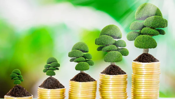 Crescimento de árvores em moedas — Fotografia de Stock