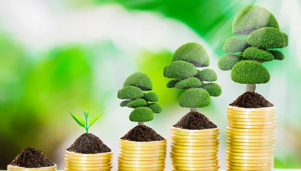 Crescimento de árvores em moedas — Fotografia de Stock