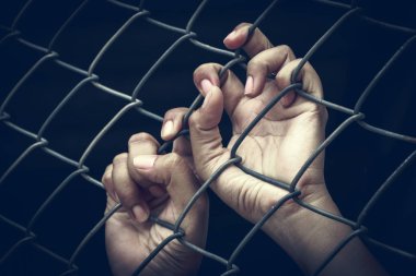 Metal holding insan eller