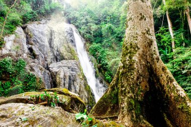 güzel huzurlu şelale 