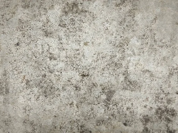 pas çimento arka plan