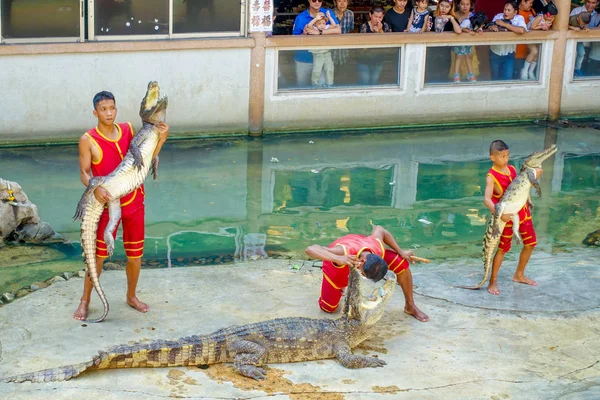 Männershow mit Krokodil — Stockfoto