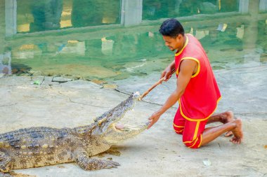 o timsah avcı oynarken gösterilen