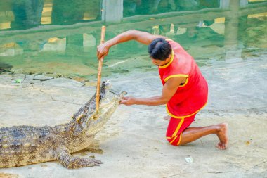o timsah avcı oynarken gösterilen