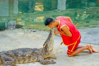 o timsah avcı oynarken gösterilen