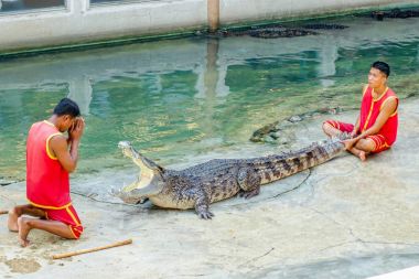  Oynarken gösterilen timsah avcı