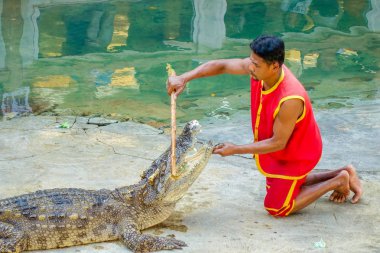  Oynarken gösterilen timsah avcı 