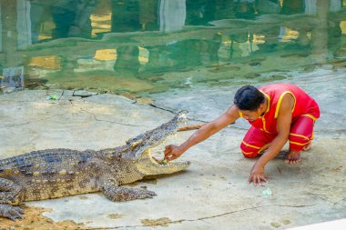  Oynarken gösterilen timsah avcı 