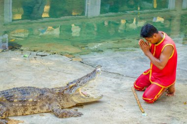  Oynarken gösterilen timsah avcı 