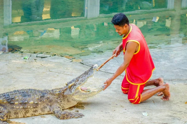 o timsah avcı oynarken gösterilen