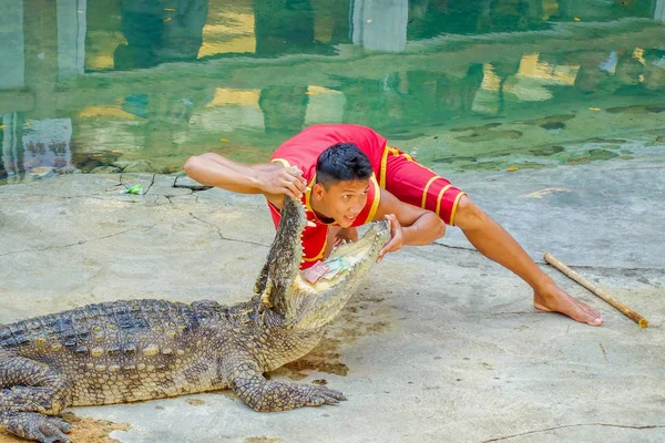 Ele Caçador de crocodilo mostrando jogar — Fotografia de Stock