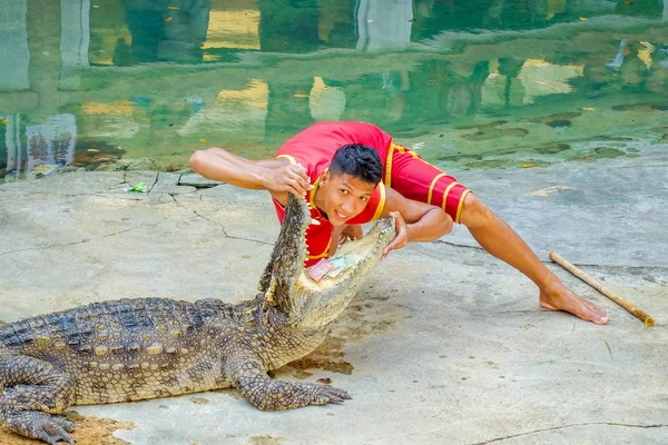 Ele Caçador de crocodilo mostrando jogar — Fotografia de Stock