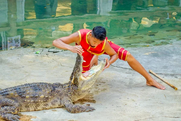 Krokodiljäger beim Spielen — Stockfoto