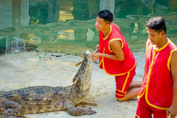 o timsah avcı oynarken gösterilen