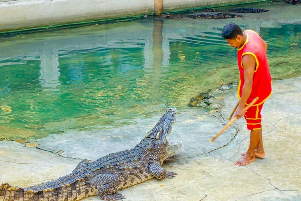 Der Krokodiljäger beim Spielen — Stockfoto