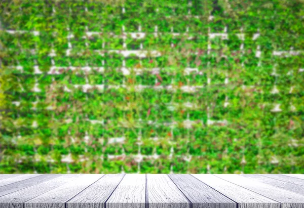 Wooden with plant background — Stock Photo, Image