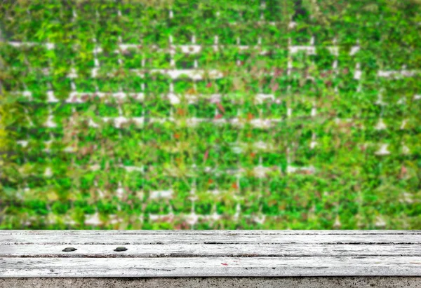 Legno con sfondo vegetale — Foto Stock