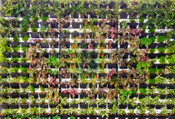  Yeşil bitki duvarı arkaplanı 