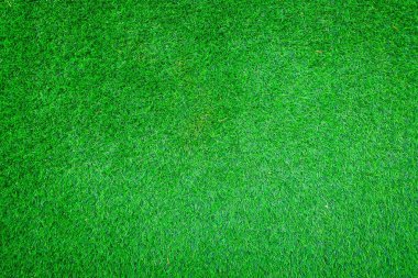  yeşil çimen dokusu arkaplanı
