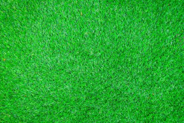  yeşil çimen dokusu arkaplanı