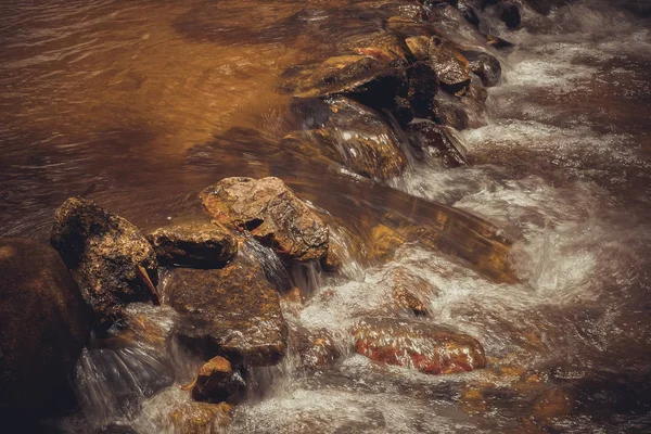 ビンテージ フィルターを持つフォレストの滝 — ストック写真