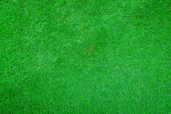 Parkta taze yeşil çimen — Stok fotoğraf