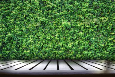 Masa üstü yeşil bitki doğa arka plan ile