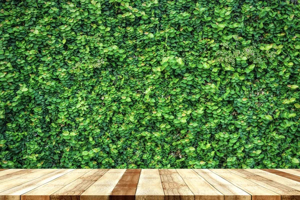 Mesa con fondo de naturaleza vegetal verde — Foto de Stock