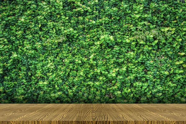 Mesa con fondo de naturaleza vegetal verde — Foto de Stock