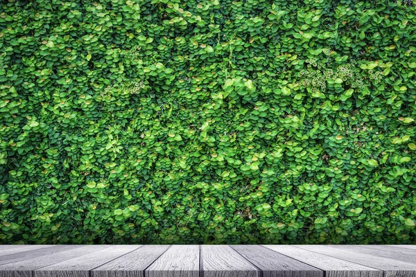 Piano del tavolo con sfondo verde natura vegetale — Foto Stock
