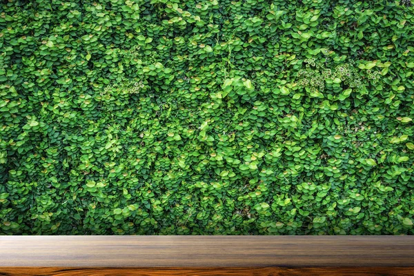 Mesa con fondo de naturaleza vegetal verde —  Fotos de Stock