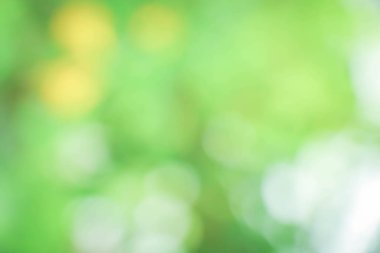 Doğa ışık arka plan bulanık 