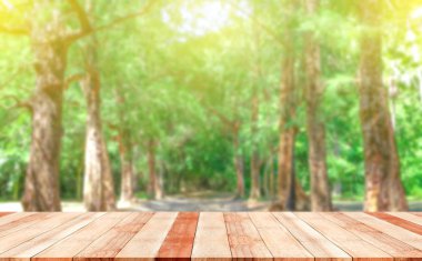 taze ağaç yeşil doğa arka plan bulanık 