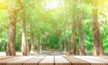 taze ağaç yeşil doğa arka plan bulanık 