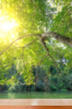 Boş ahşap masa üstü ve yeşil doğal kaynak bulanıklık 