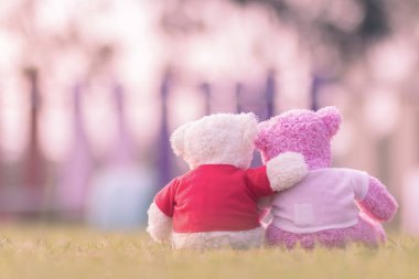 oyuncak ayı gün batımı ile 