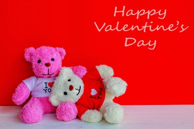 Beyaz ve pembe bir oyuncak ayı 