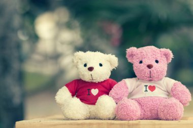 Sevgililer günü ve sevgi kavramı