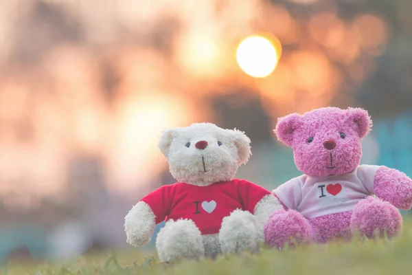 Крупним Планом Двох Ведмедів Лялька Сидять Разом День Святого Валентина — стокове фото