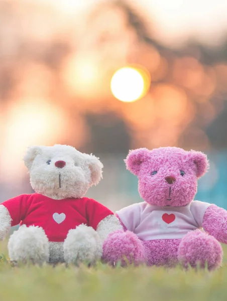 Nahaufnahme Zweier Bären Puppe Zusammen Sitzen Valentinstag Und Liebeskonzept — Stockfoto