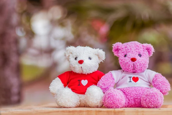 Close Two Bears Doll Sitting Together Valentine Day Love Concept — стоковое фото