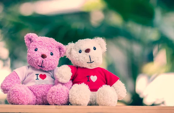 Close up two bears doll sitting together, Valentine\'s day and love concept