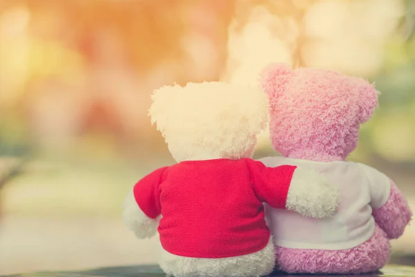Lalka Dwa Niedźwiedzie Siedzi Razem Walentynki Pojęcie Miłości Bliska — Zdjęcie stockowe