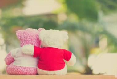 Birlikte, Sevgililer günü ve aşk kavramı oturan iki ayı bebek kadar kapatın